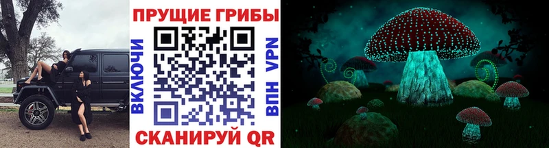 Купить где  Сыктывкар  Галлюциногенные грибы мухоморы 